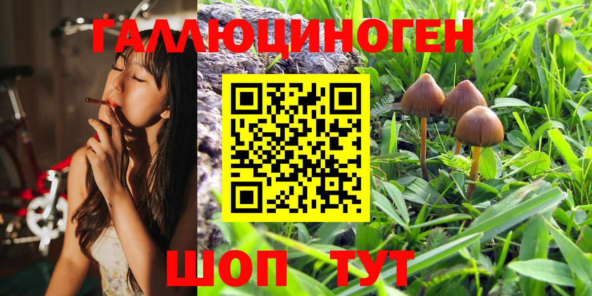 Галлюциногенные грибы Magic Shrooms  Вход с VPN  Галлюциногенные грибы ЛСД  где продают   Керчь 